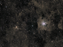 Van den Berg 141 &amp; NGC 7023